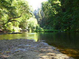 henry-cowell-river