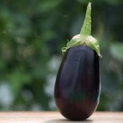 eggplant-small